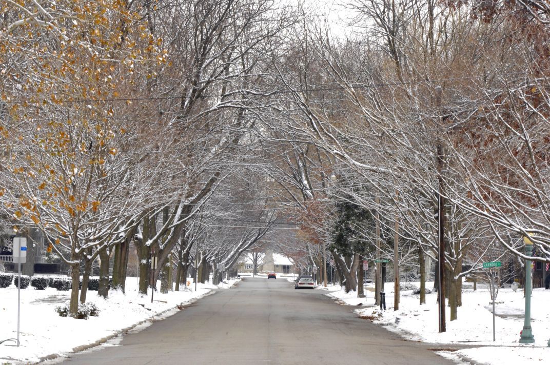The Founders' Grove neighborhood