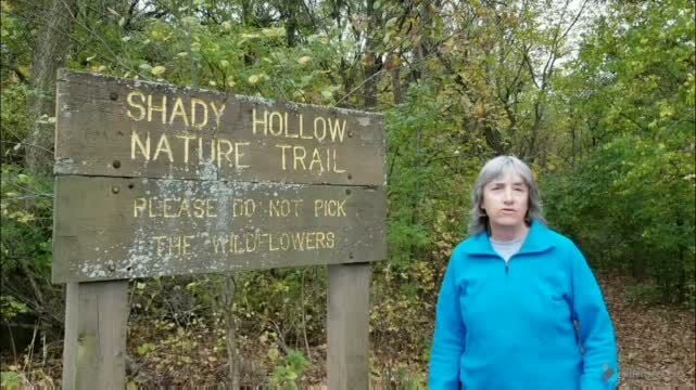 Shady hollow new arrivals trail runners