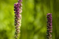 081020-blm-loc-2explore