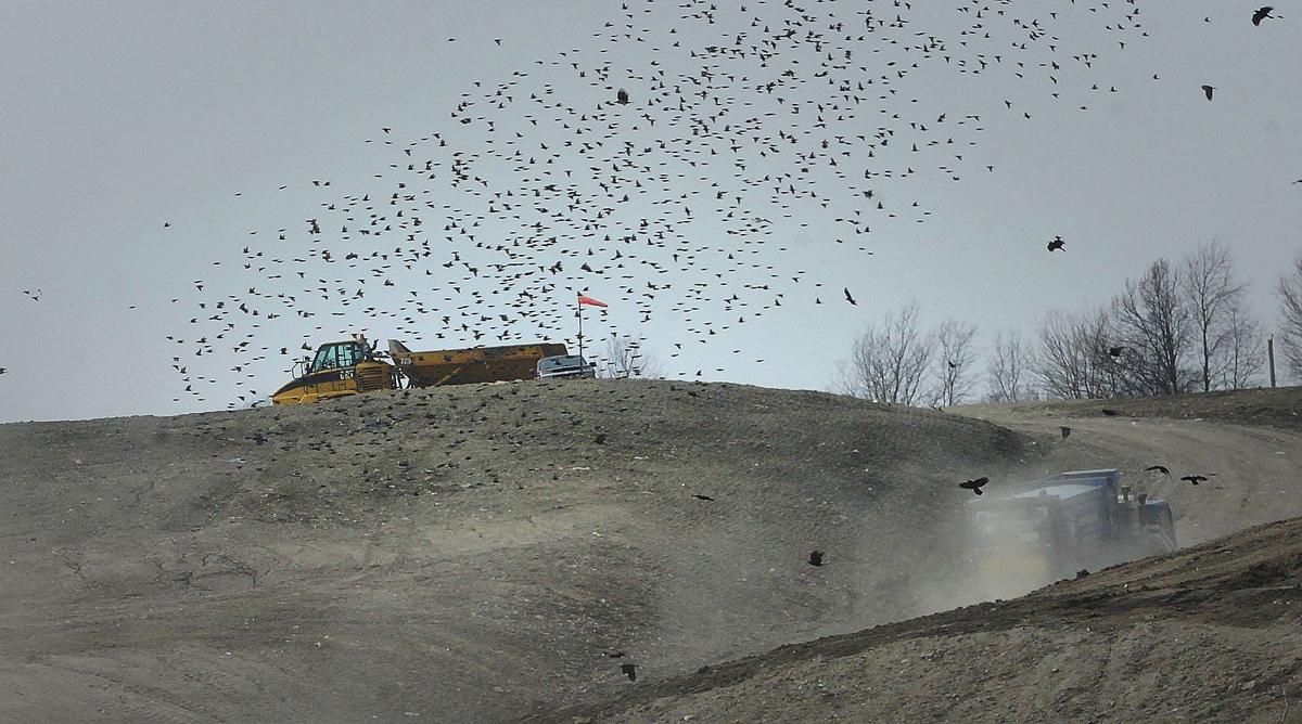Landfill's closing not far away, little notice by public Local Business