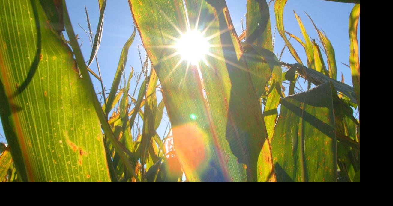 Flick Fact: How is Central Illinois weather unusual this time of year?
