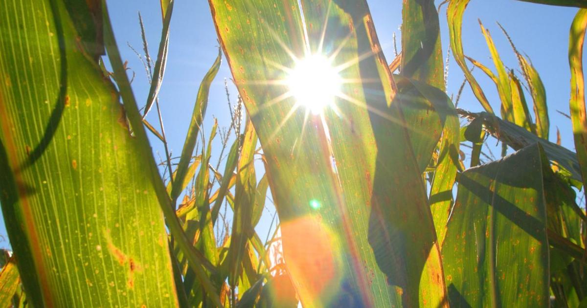 Flick Fact: How is Central Illinois weather unusual this time of year?