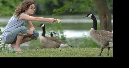 Flick Fact: The prominent lake in Bloomington that is an accidental goof? - Vimarsana News