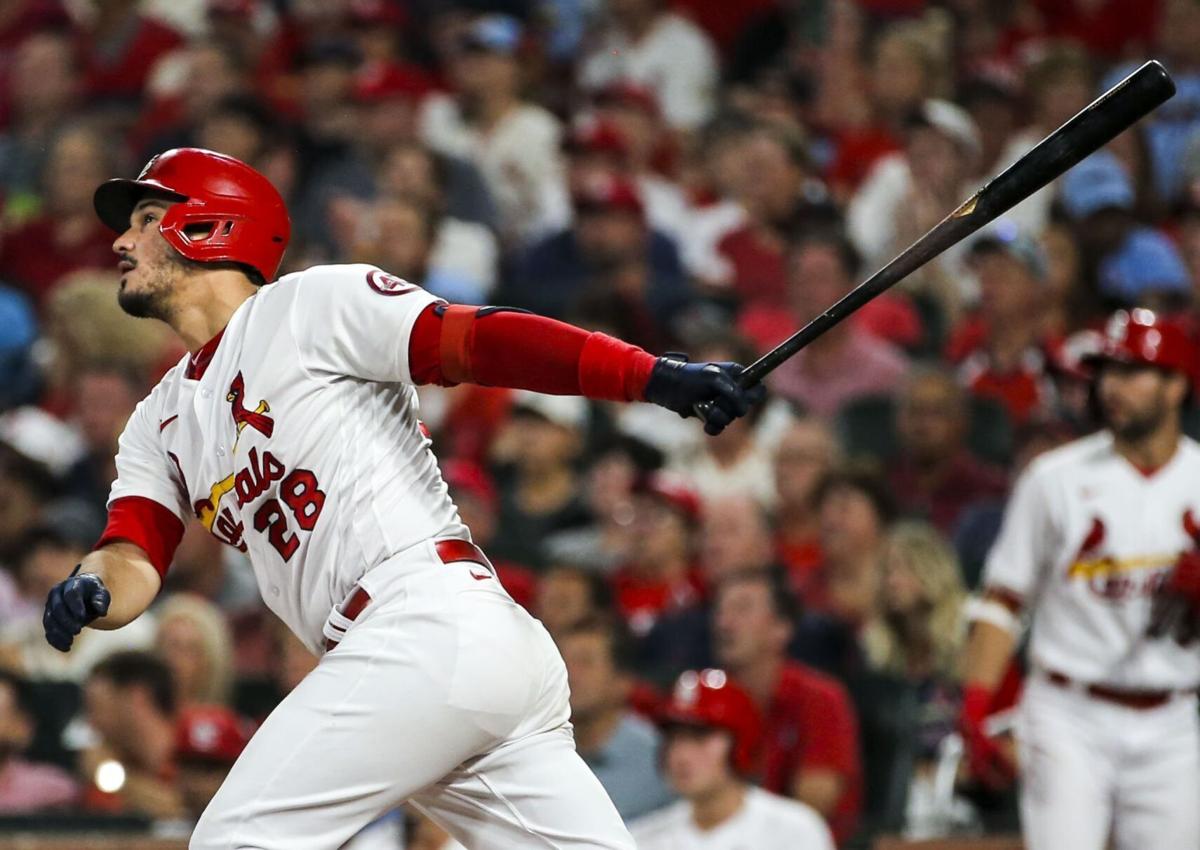 Watch the Cardinals celebrate clinching a Wild Card spot and their 17th win  in a row 