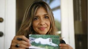 20 Cat Deaths Leave Two Communities Worried News Pantagraph Com