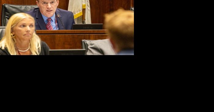 Democratic leaders poised to revisit Illinois' Biometric Information Privacy Act after court rulings - Vimarsana News