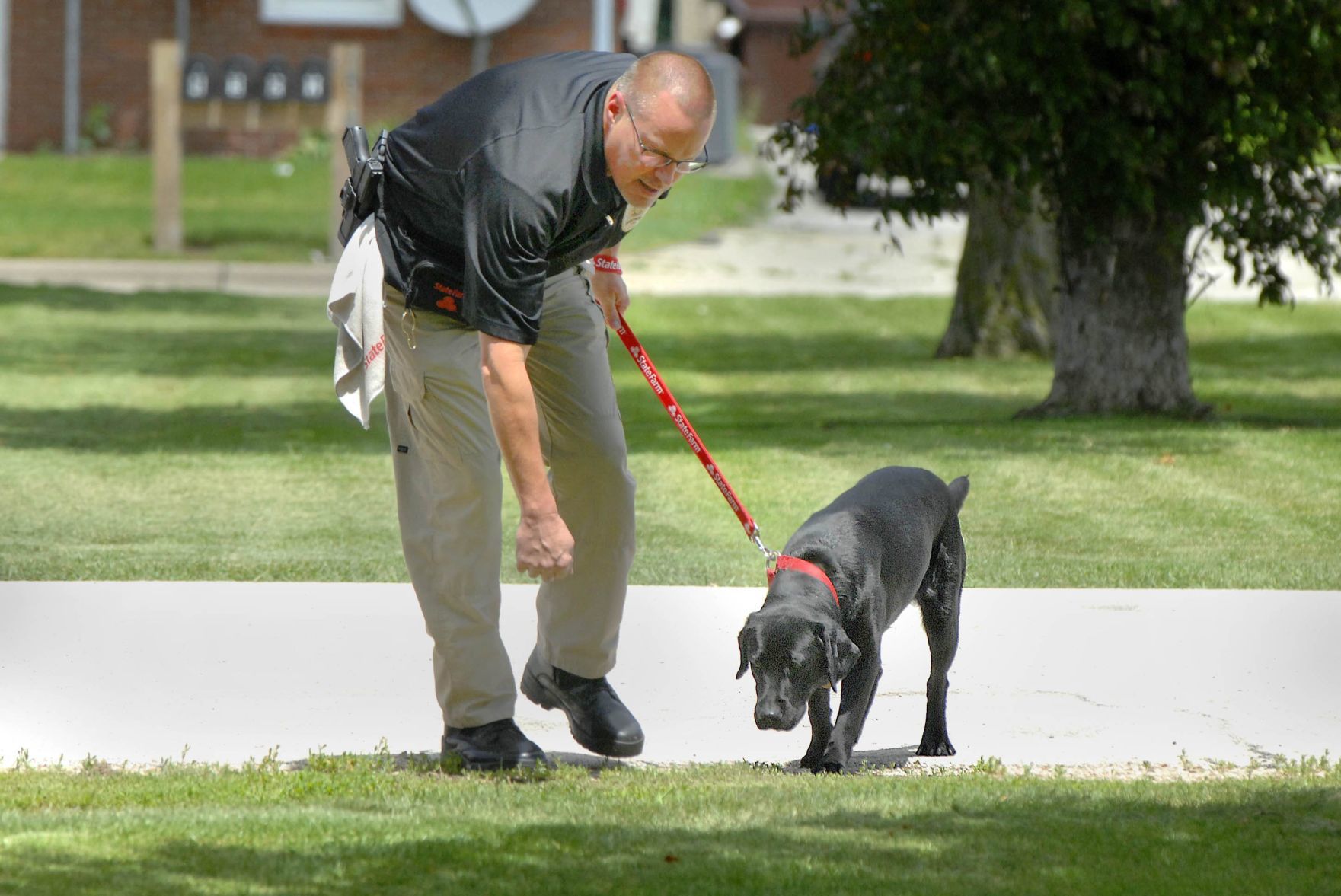 She will find it State Farm arson dog program a community asset