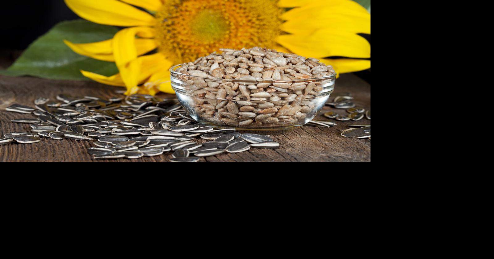 Healthy Families: Seed oils are not harmful
