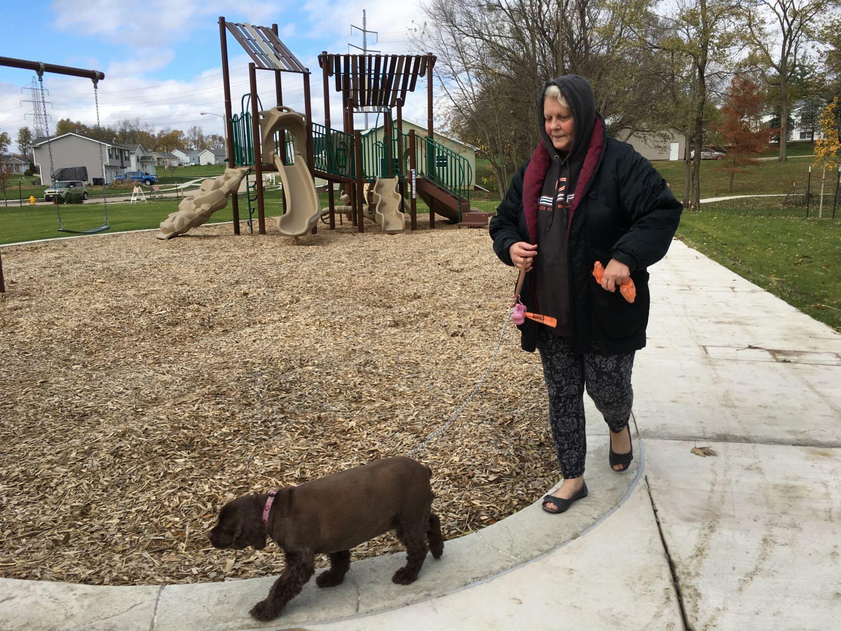 Council To Act On Bloomington Parks Master Plan Politics Pantagraph Com