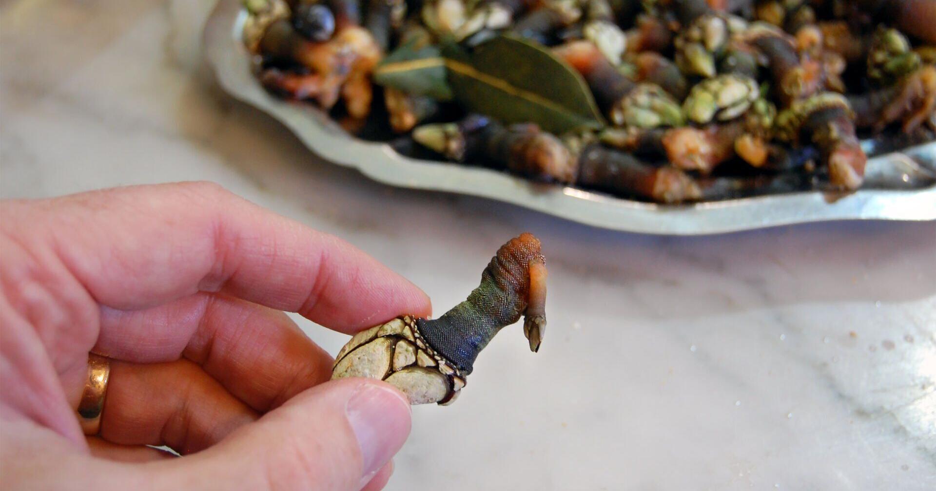 Rick Steves' Europe: Saints and sustenance in Spain's Santiago de Compostela - Vimarsana News