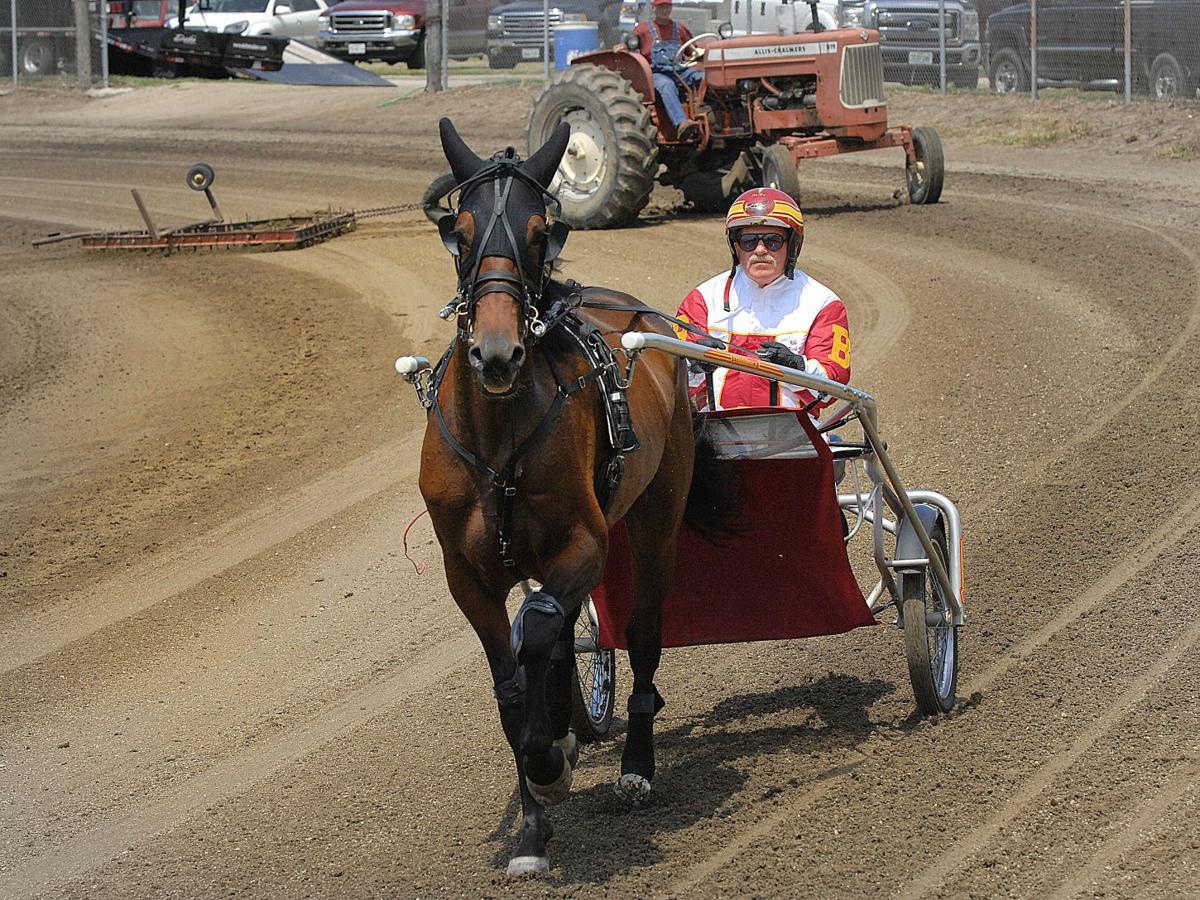 Photos Harness racing at Logan Fair Pantagraph
