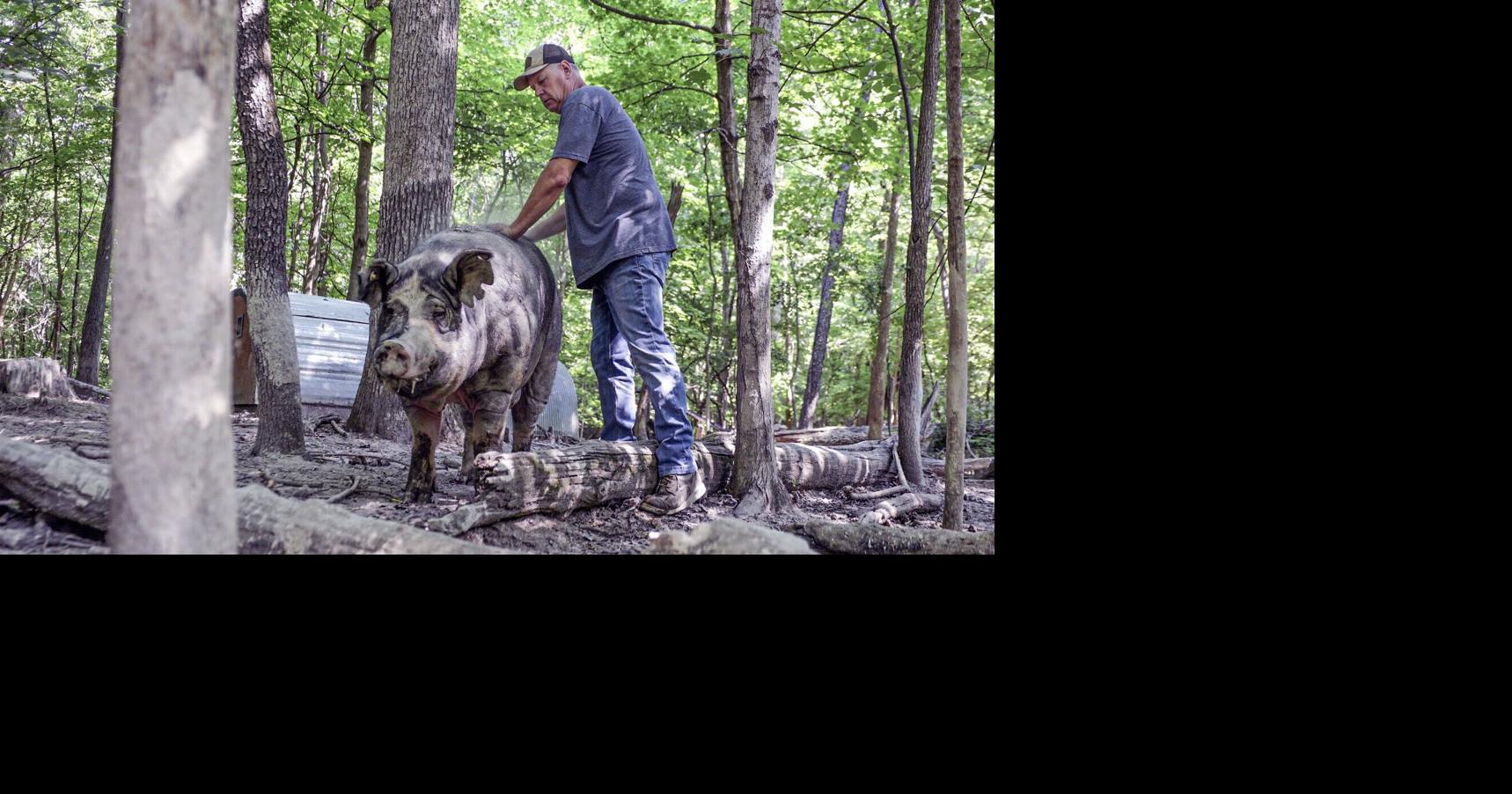 On the Farm: Taking stock of what matters at Middle Creek Farms with Frank Paslaski