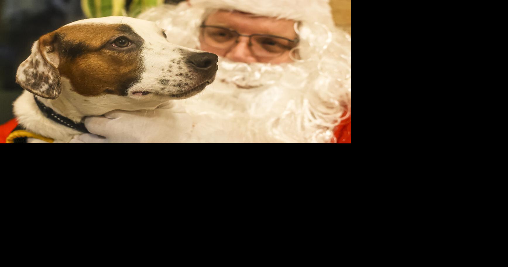 'Paws & Claus' offering pet photos with Santa for Humane Society ...
