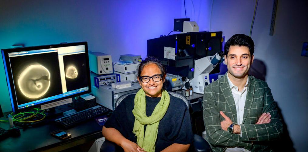 Pollen study reveals the hidden history of grasses