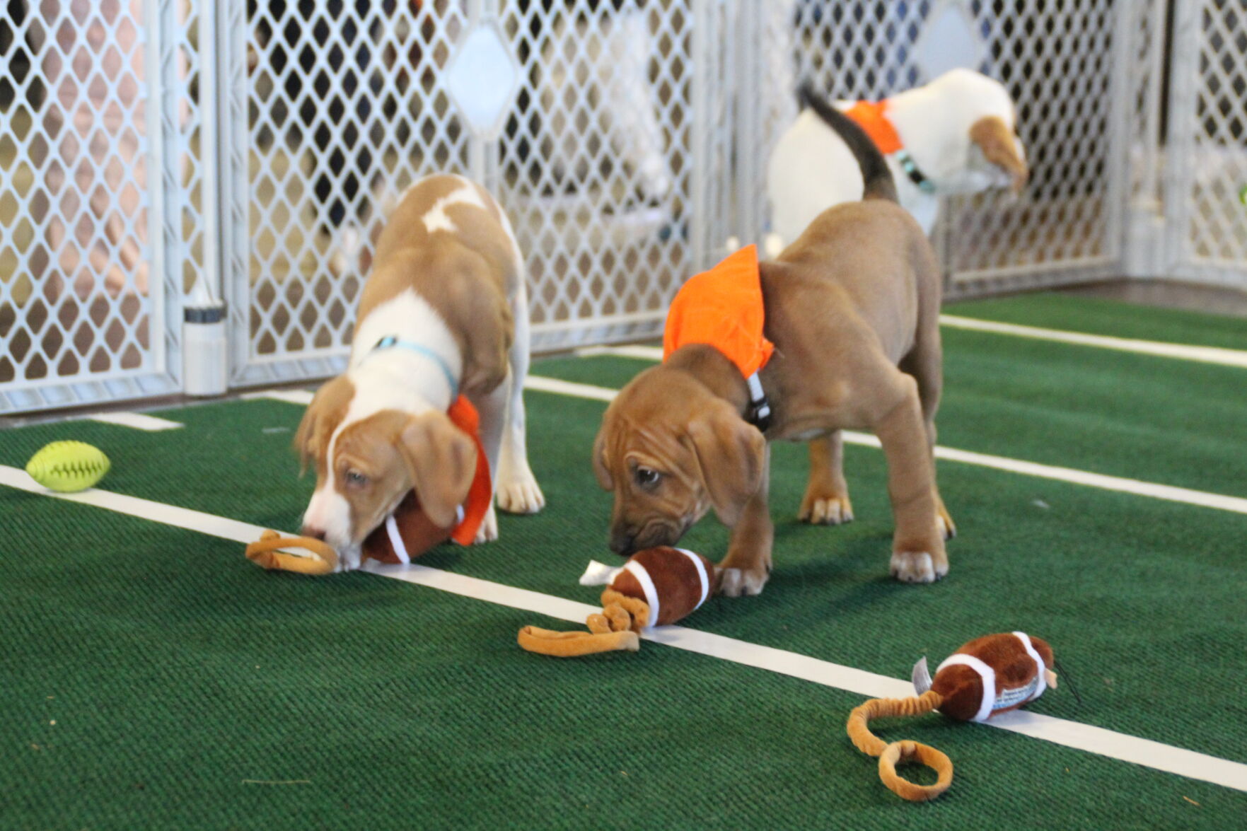 Got Plans This Weekend Check Out Central Illinois Events got-plans-this-weekend-check-out-central-illinois-events