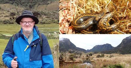 Illinois Wesleyan professor names new snake species after Harrison Ford Illinois Wesleyan professor names new snake species after Harrison Ford