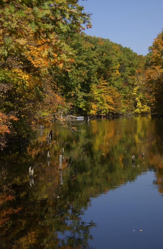 Ac Auto Parts >> Photos: Central Illinois autumn scenery : Gallery Ac Auto Parts >> Photos: Central Illinois autumn scenery : Gallery