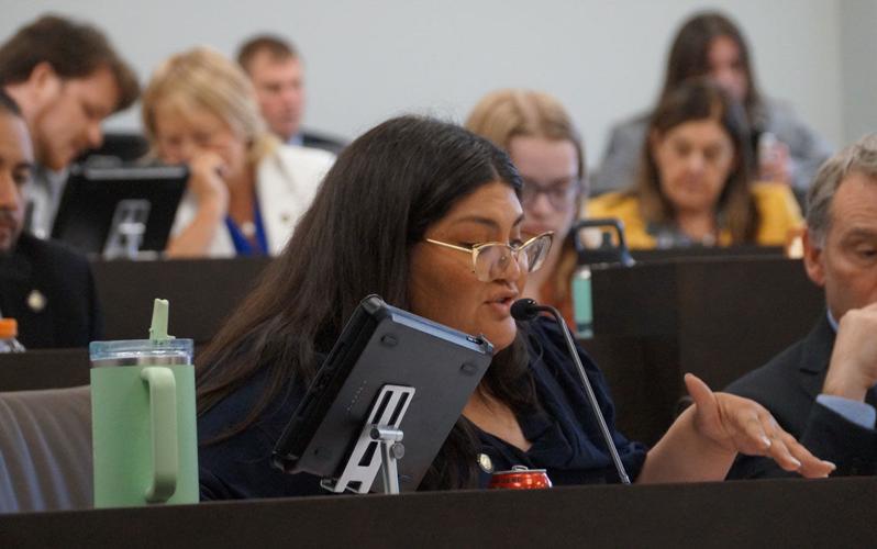 Illinois school funding gaps persist