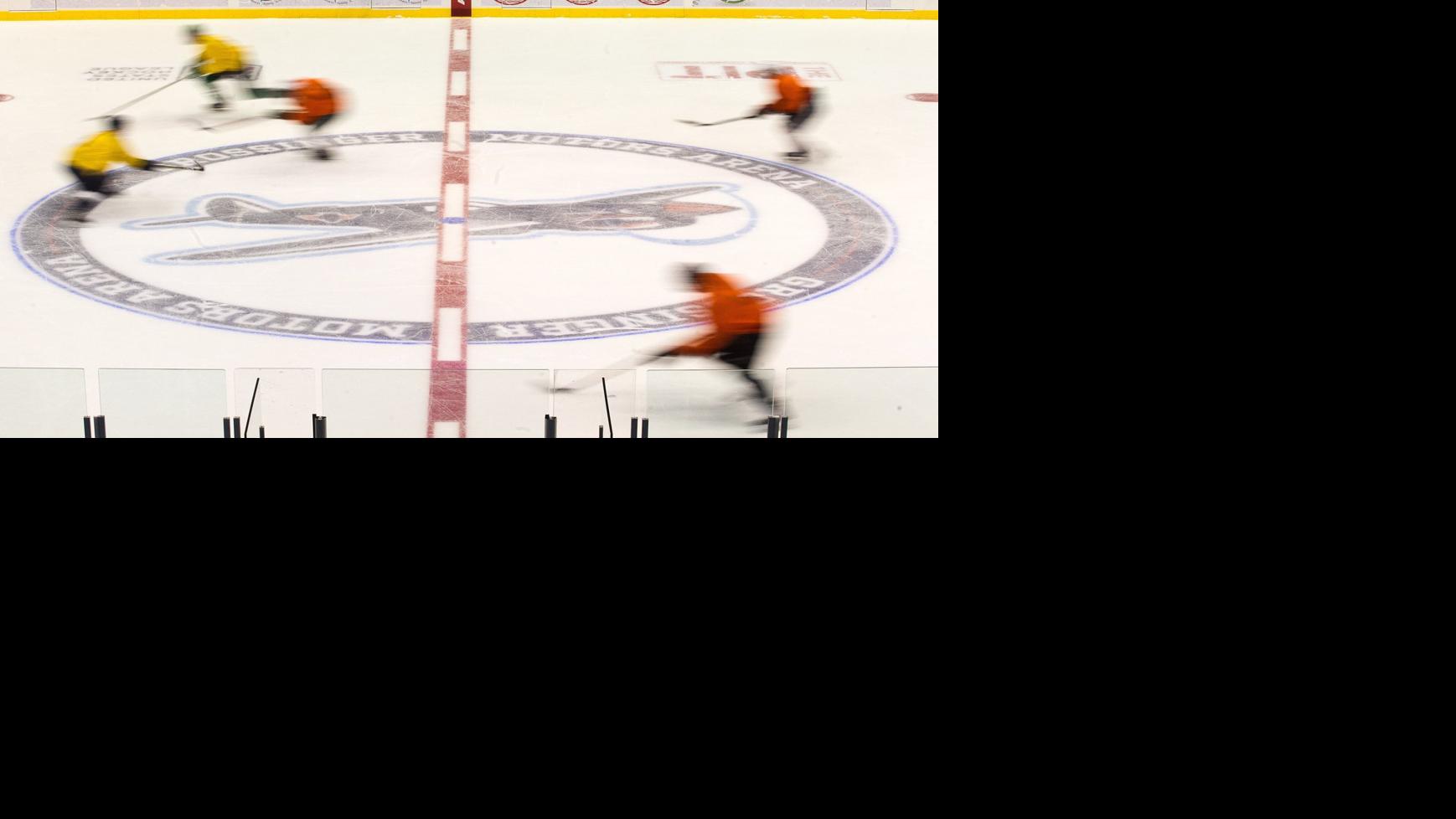 Back In The Game Hockey Returning To Bloomington Normal With
