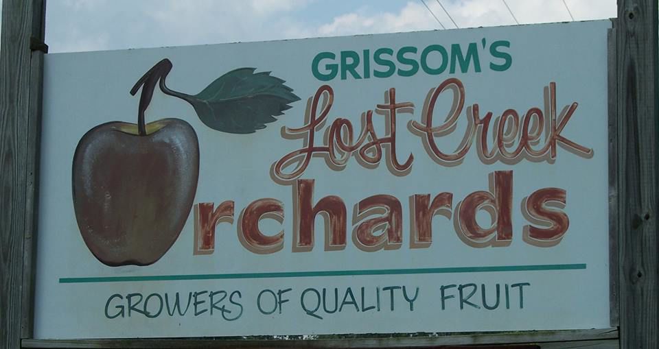 Fallin For You Apple Orchards In Central Illinois Go
