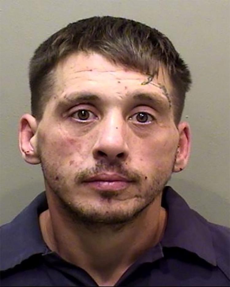 Photos McLean County jail mugshots