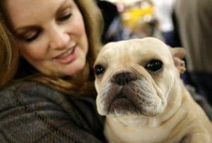 patricia hearst french bulldog