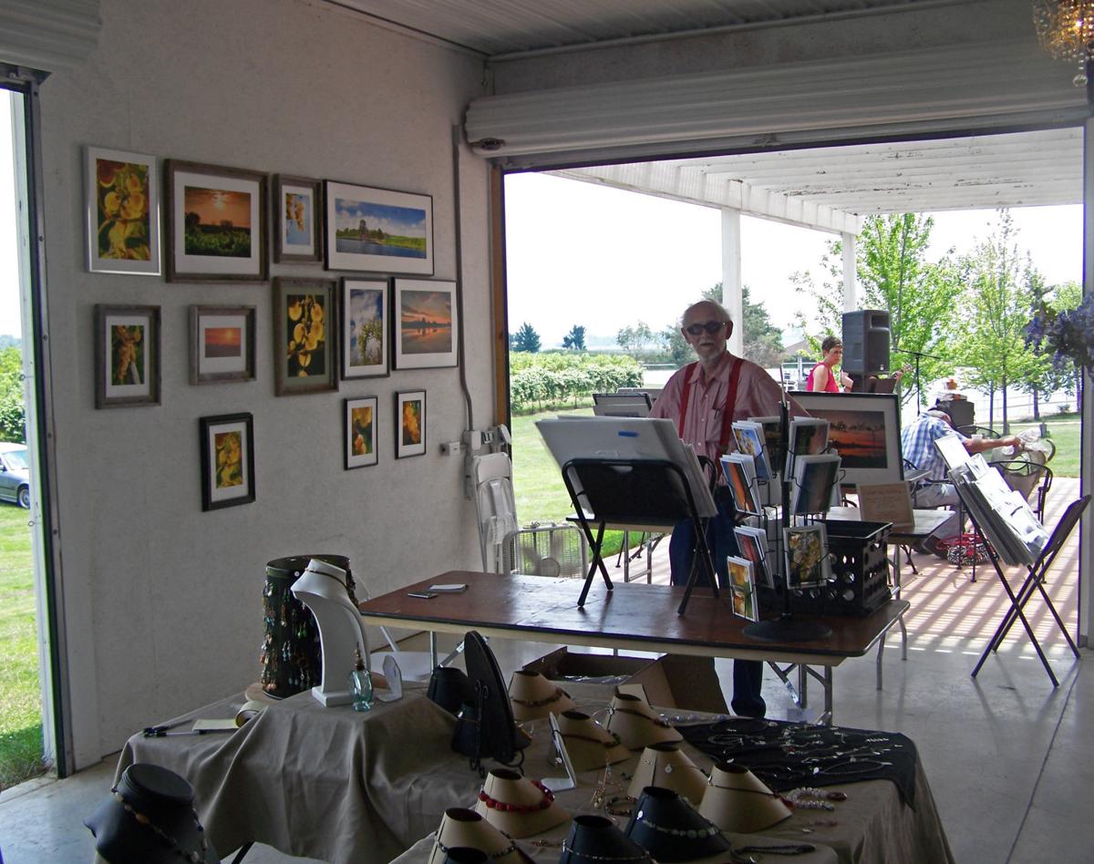 Mackinaw Vineyard Art Wine Fest Suited For Whole Family Arts And Theatre Pantagraph Com