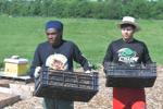 Sunnyside Community Garden and Food Forest
