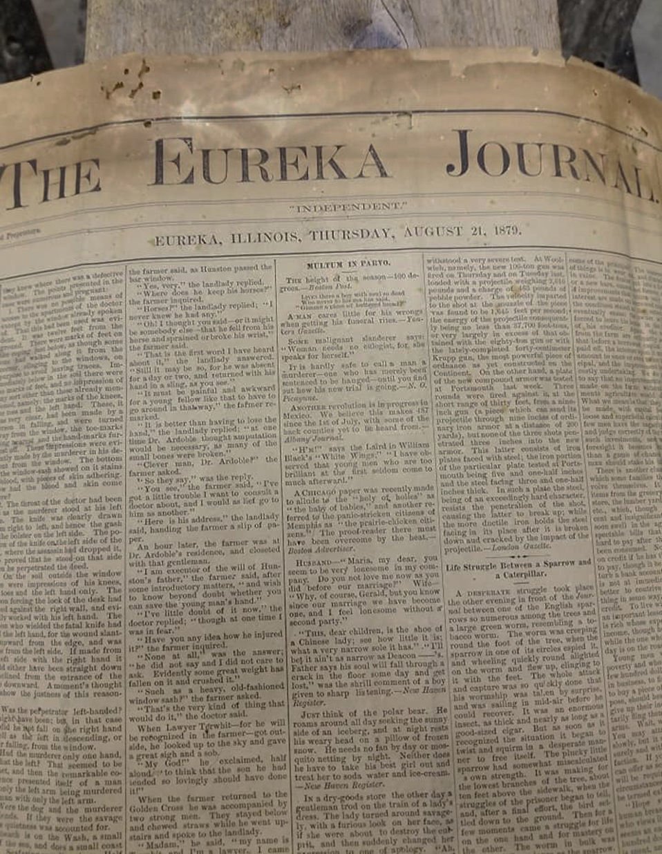1879 edition of Eureka newspaper found behind mirror Local News