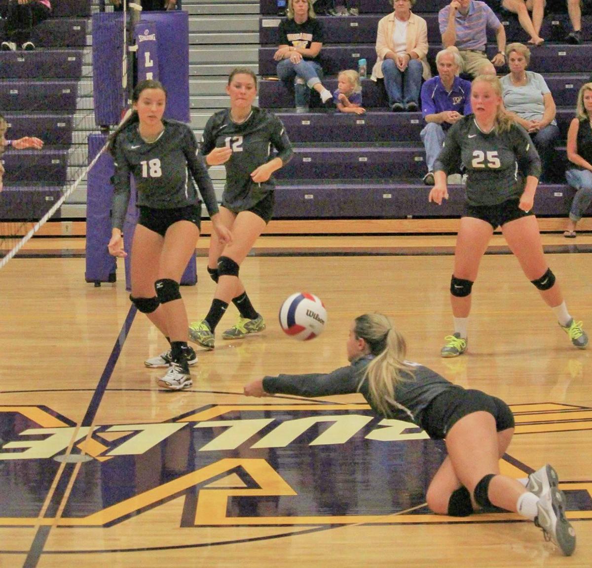 Fitzpatrick To Play Volleyball At Siu High School Volleyball Pantagraph Com
