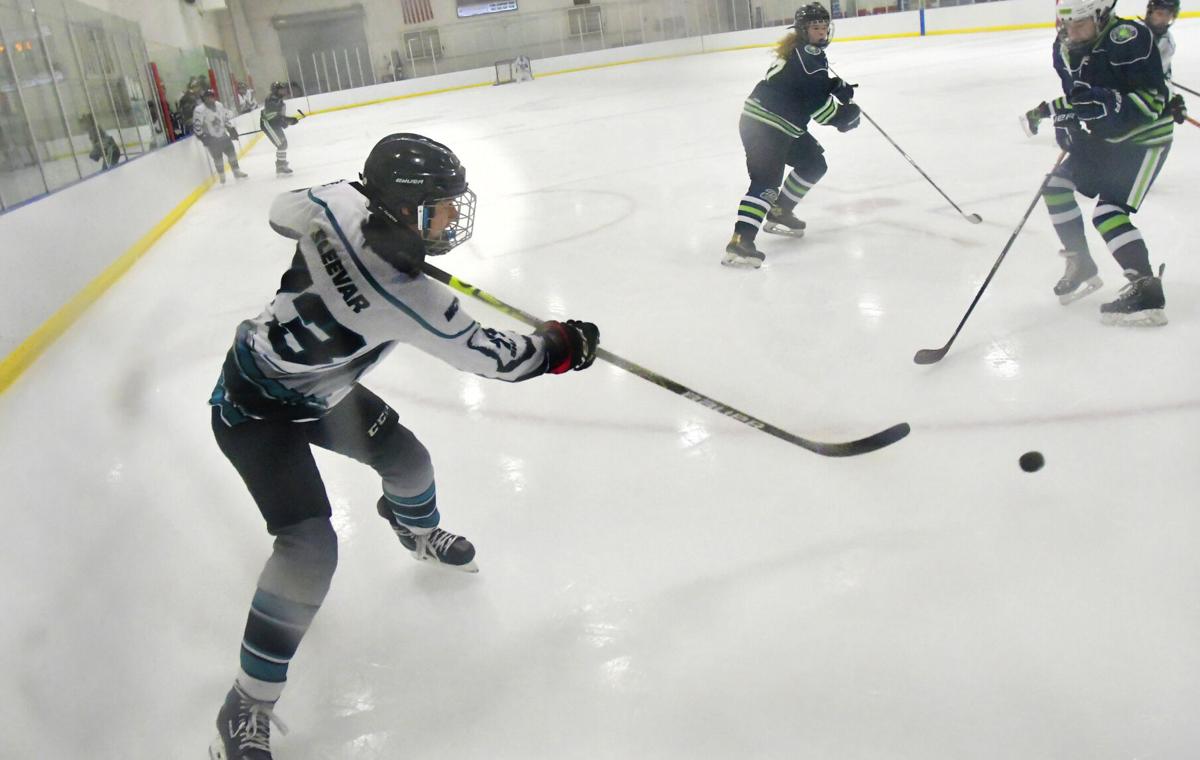 A shot at history: Illinois State Women's Ice Hockey Club skates through  inaugural season - News - Illinois State