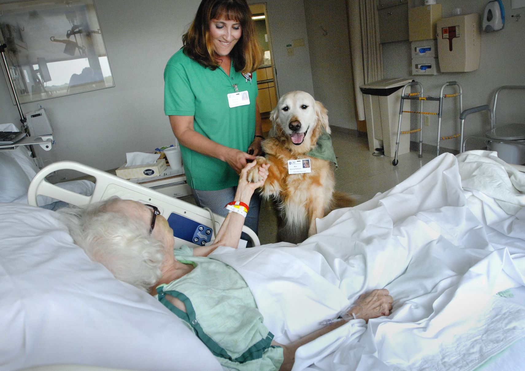 hospital comfort dogs