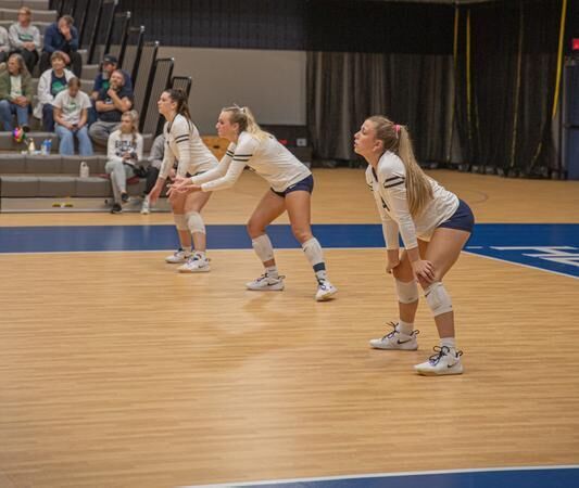 Heartland Volleyball Continues Winning Ways against Danville Area