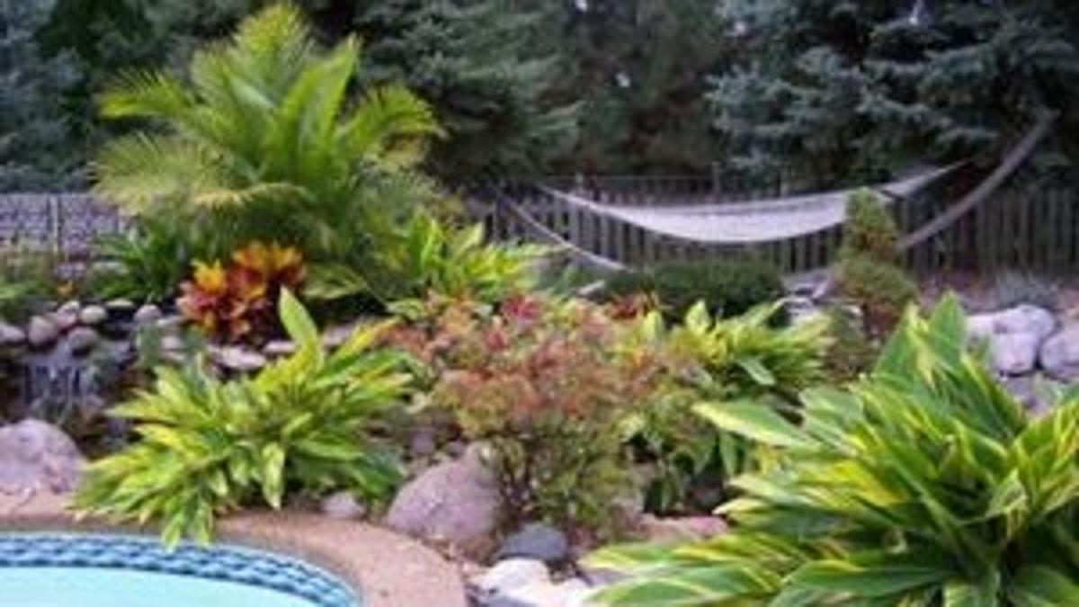 Consider Outdoor Potted Plants Winter Options Home Garden