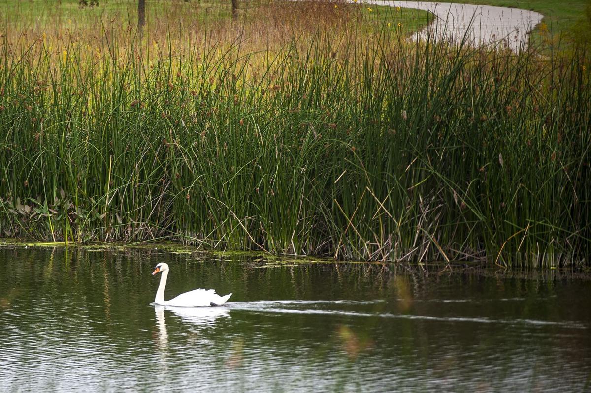 Bloomington's Tipton Park provides several exercise options close to nature