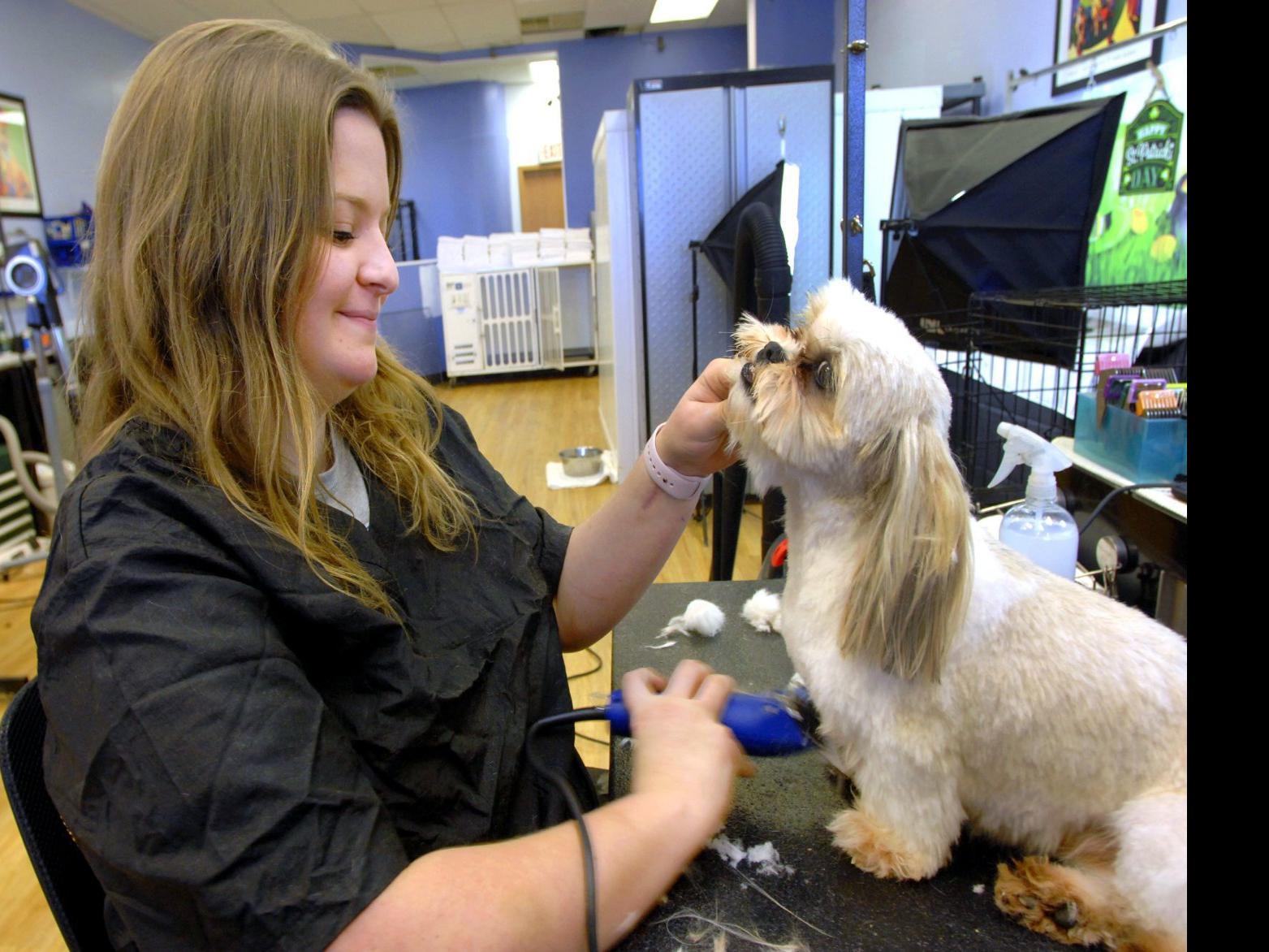 Happy Tail Normal Groomer Saves Dog With Cpr Pets Pantagraph Com