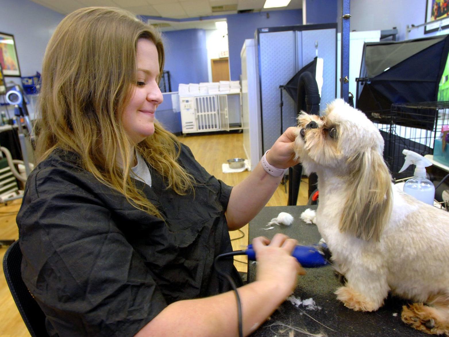 Happy Tail Normal Groomer Saves Dog With Cpr Pets Pantagraph Com