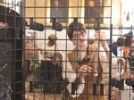 060522-blm-loc-steampunk18