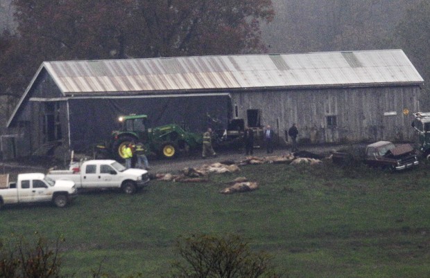 Horror, resignation at killing of Ohio animals National