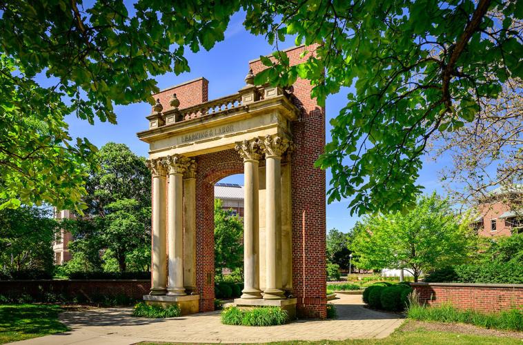Illinois announces new endowed chairs