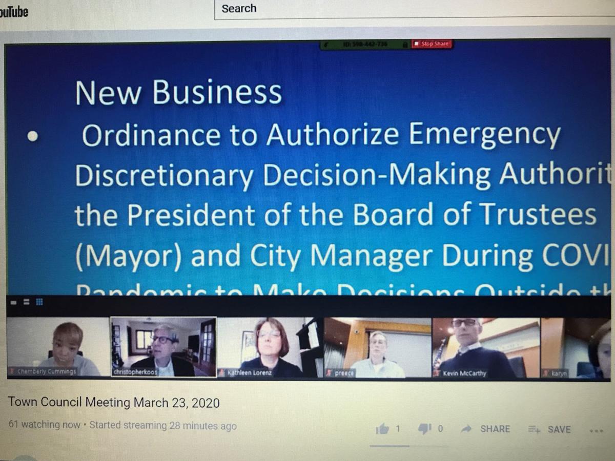 Normal City Council