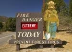 #30. Forest Fire Inspectors and Prevention Specialists