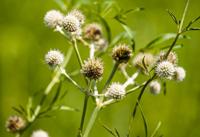 081020-blm-loc-12explore