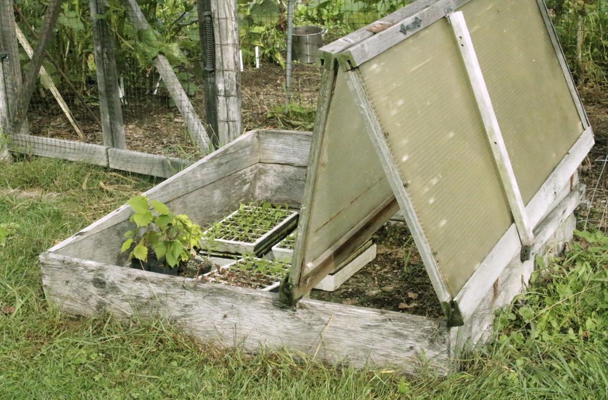 Using A Cold Frame Is Like Moving Your Garden South Pantagraph Com