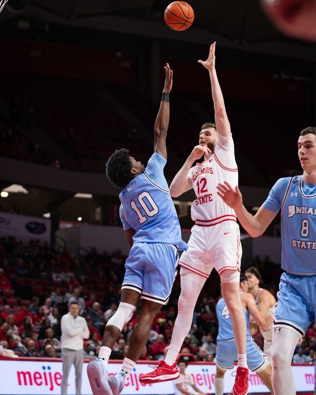 Brandon Lieb vs. INS