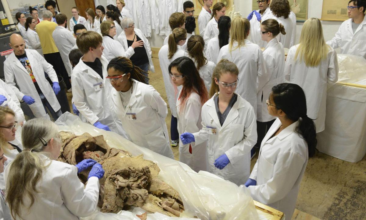 Hands-on: Cadaver lab experience benefits students | Health | pantagraph.com