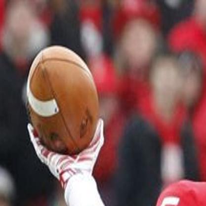 Reinhardt Top Games No 2 Redbirds Bison Tangle In Classic Fcs