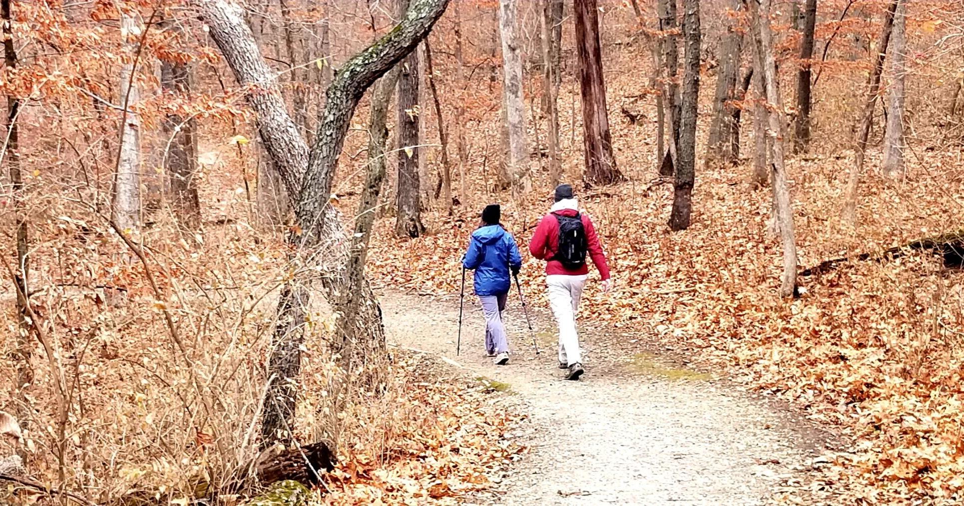 DeWitt, Macon and Piatt County 4-H to plant trees next week - Vimarsana News