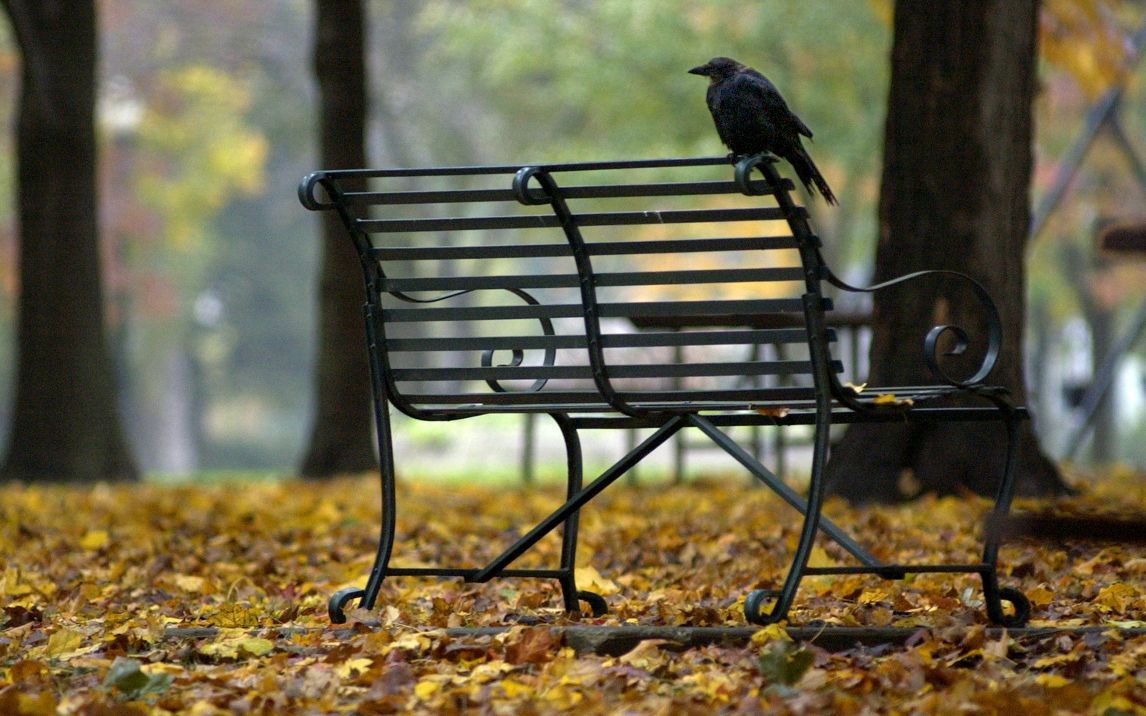 Franklin Park