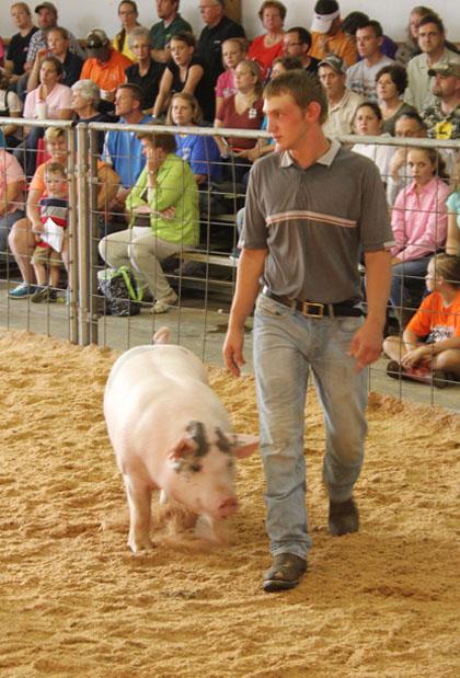PARIS TN: Livestock sale nets nearly $190,000 at the 2013 Henry County